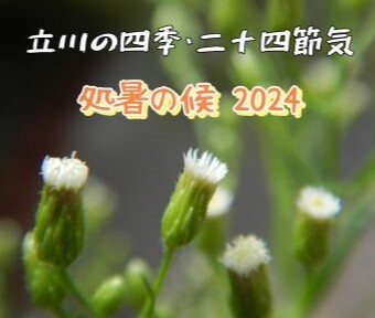 立川の四季・二十四節気★七十二侯 2024