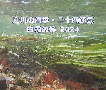 立川の四季・二十四節気★七十二侯 2024